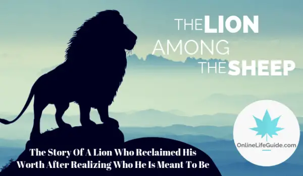The Lion Amongst The Sheep – Life Lessons