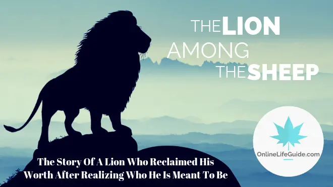 The Lion Amongst The Sheep – Life Lessons
