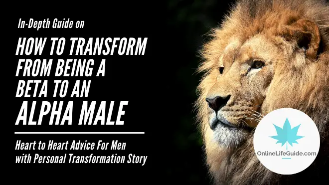 how to be an alpha male and stop being a beta